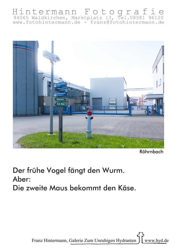 02VoglMaus