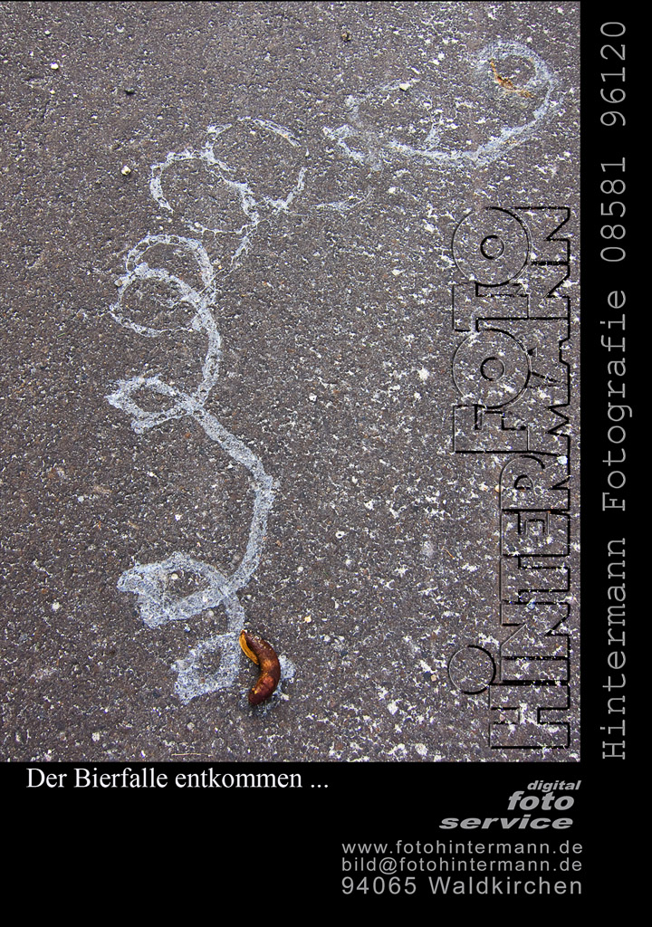 bierschneck_0779B