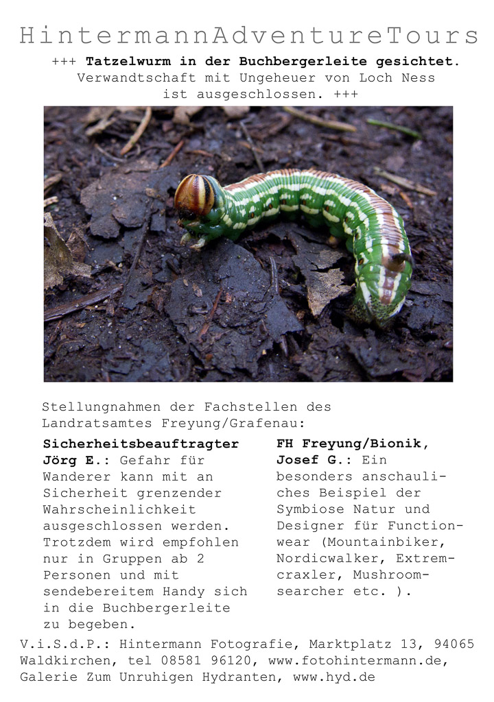 tatzelwurm