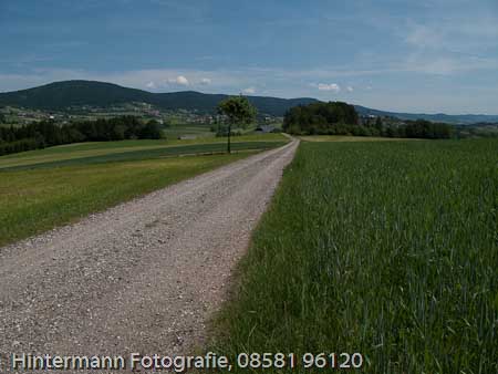 090521130158IMG_0014