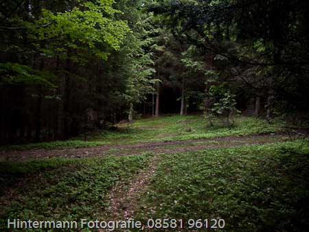 090521154309IMG_0086