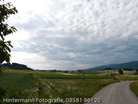 090521172600IMG_0115